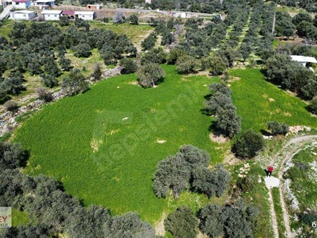 Kemalpaşa, İzmir içerisinde satılık Arsa