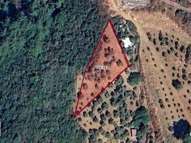 Kemalpaşa, İzmir içerisinde satılık Arsa
