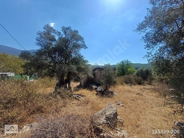 Milas, Muğla içerisinde satılık Arsa