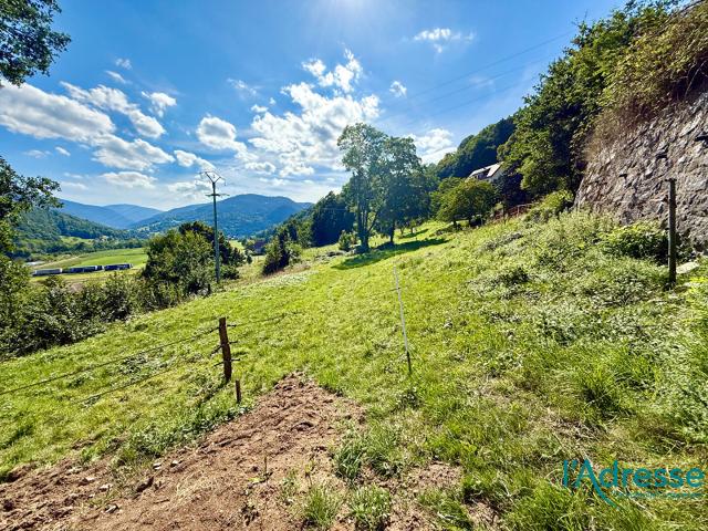 Terrain vente à Colmar-Ribeauvillé, Muhlbach-sur-munster