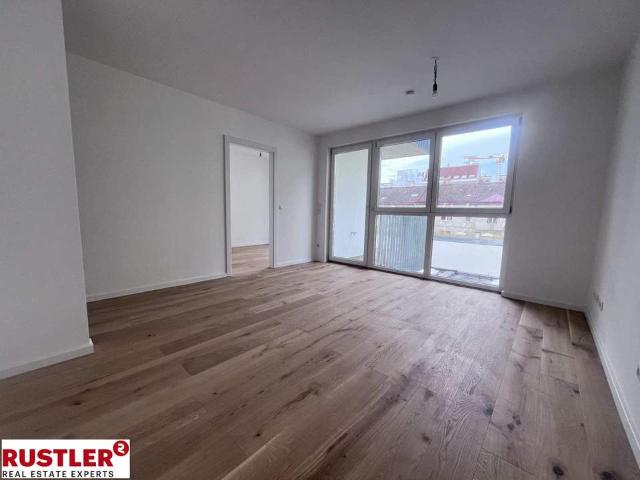 Wohnung kaufen in KG Inzersdorf Stadt, Wien