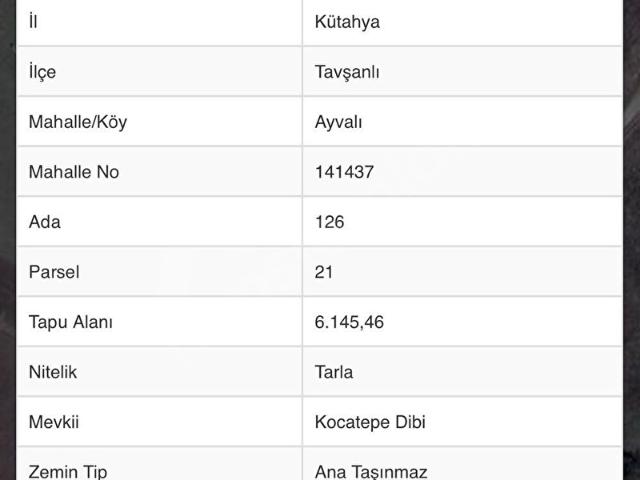 Ayvalı, Tavşanlı içerisinde satılık Arsa