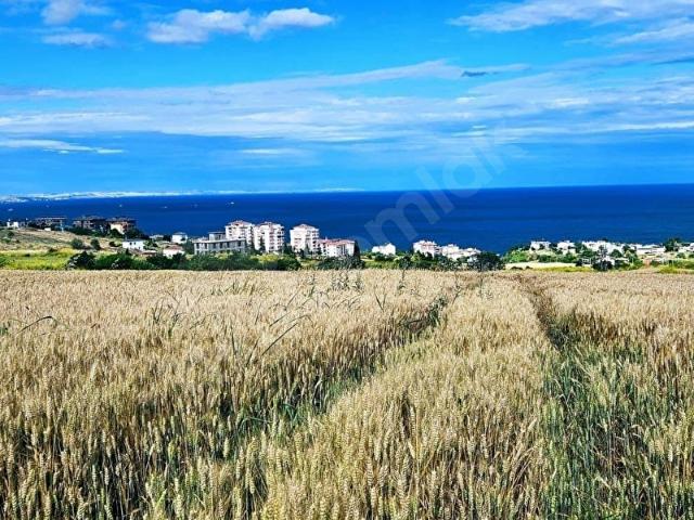 Tekirdağ Merkez, Tekirdağ içerisinde satılık Arsa