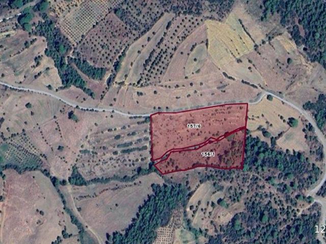 Kavaklidere, Muğla içerisinde satılık Arsa