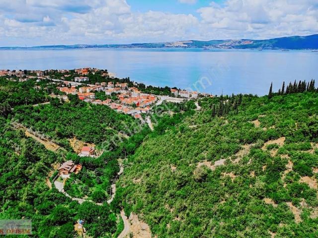 Karamürsel, Kocaeli içerisinde satılık Villa
