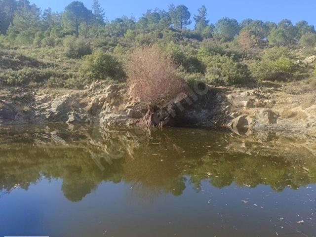 Kavaklidere, Muğla içerisinde satılık Arsa