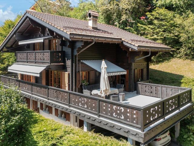 Haus kaufen in Gryon, Waadt