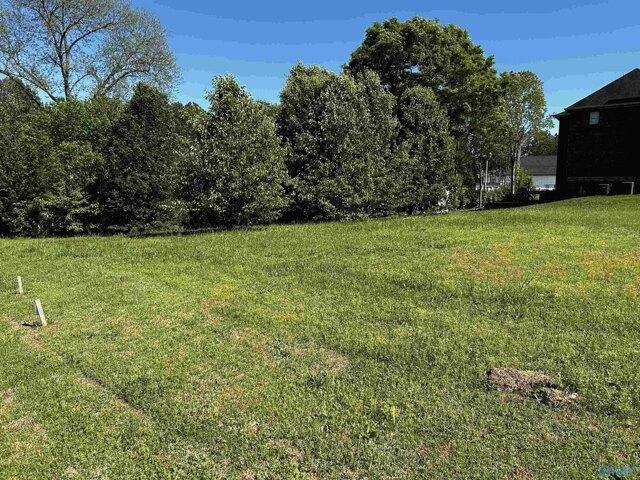 Land for sale in Albertville Land for sale in Albertville