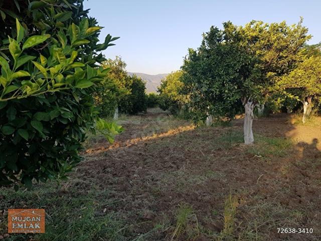 Köyceğiz, Muğla içerisinde satılık mülk