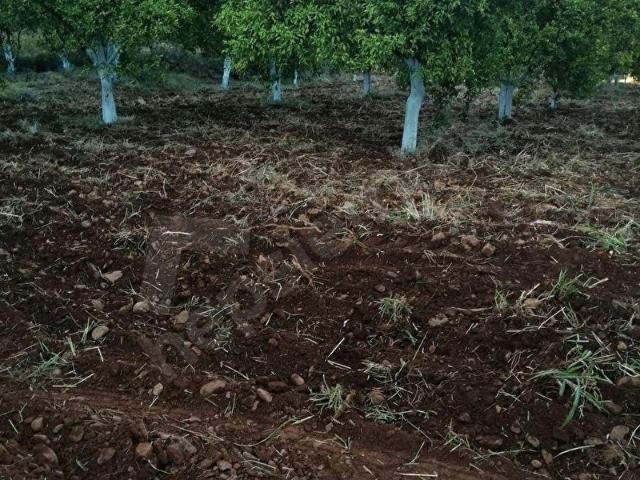Köyceğiz, Muğla içerisinde satılık mülk