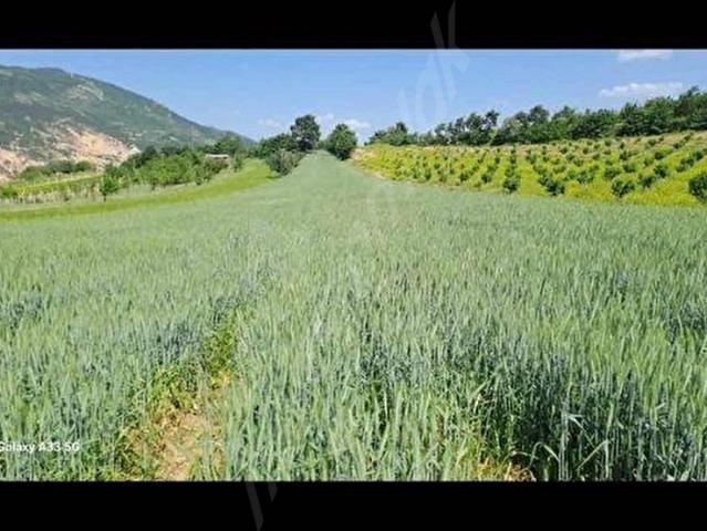 Geyve, Sakarya içerisinde satılık Arsa