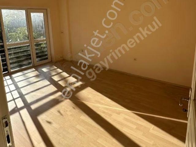 Yalova Merkez, Yalova içerisinde kiralık mülk