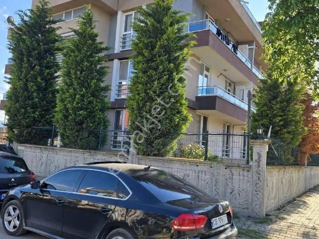 Körfez, Kocaeli içerisinde kiralık mülk