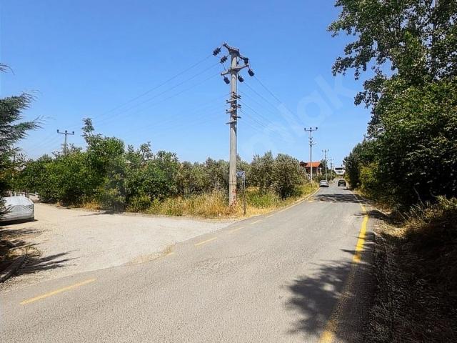 Altınova, Yalova içerisinde satılık Arsa
