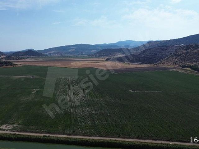 Dikili, İzmir içerisinde satılık Arsa