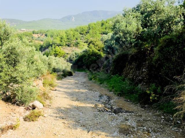 Gözcüler, Hacıahmetli içerisinde satılık mülk