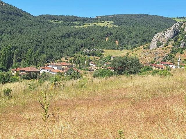 Osmaneli, Bilecik içerisinde satılık Arsa