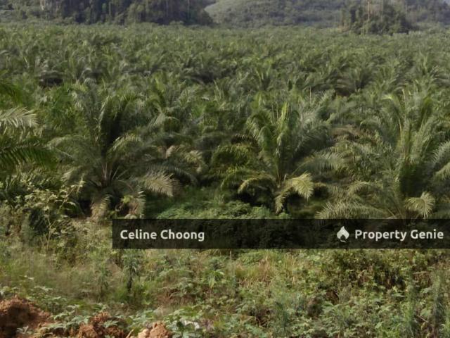 Property for sale in Kahang, Johor