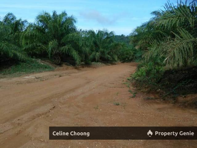 Property for rent in Tringganu