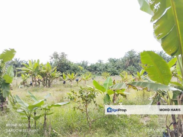 Shop for sale in Sri Gading, Batu Pahat