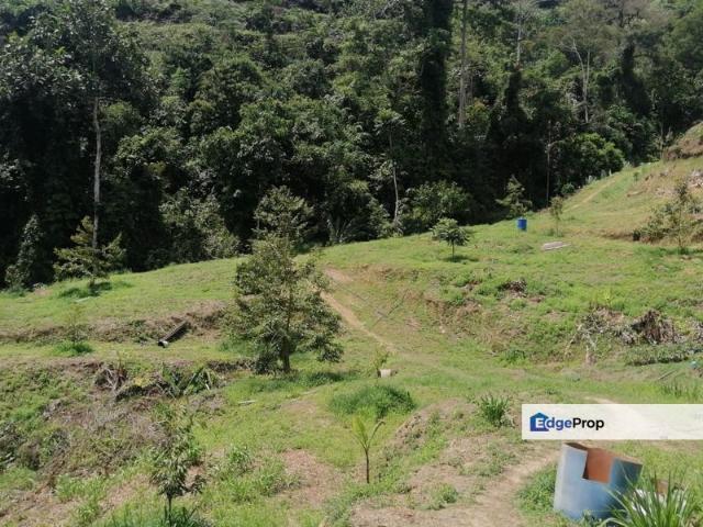 Shop for sale in Raub, Pahang