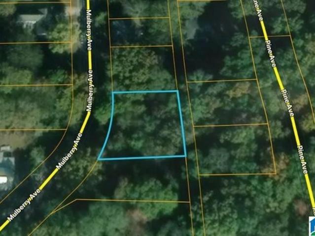 Land for sale in Anniston, Alabama