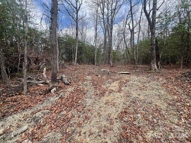 Land for sale in Brevard