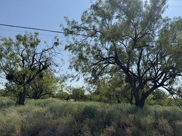 House for sale in Colorado City, Texas