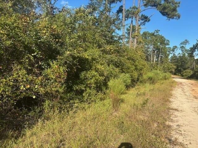 Land for sale in Marianna, Florida