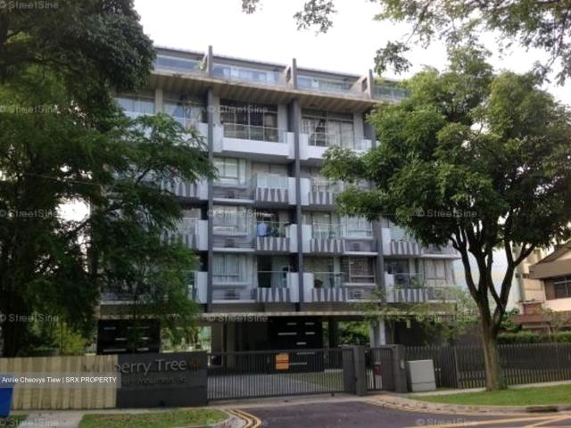 Apartment for rent in Novena
