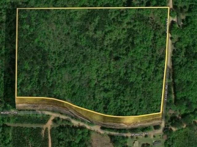 Land for sale in Brantley, Alabama