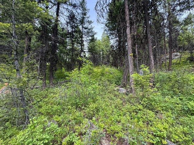 Land for sale in Republic, Washington