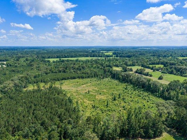 Land for sale in Camp, Texas