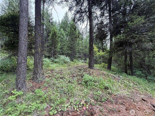 Land for sale in Republic, Washington