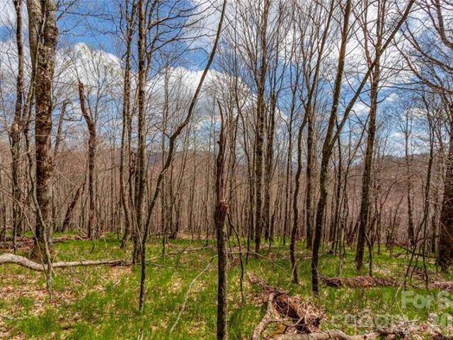 Land for sale in Bakersville, Mitchell County