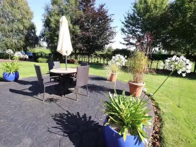 House to rent