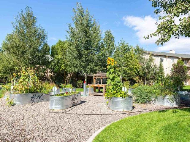 Apartment for rent in Missoula, Montana
