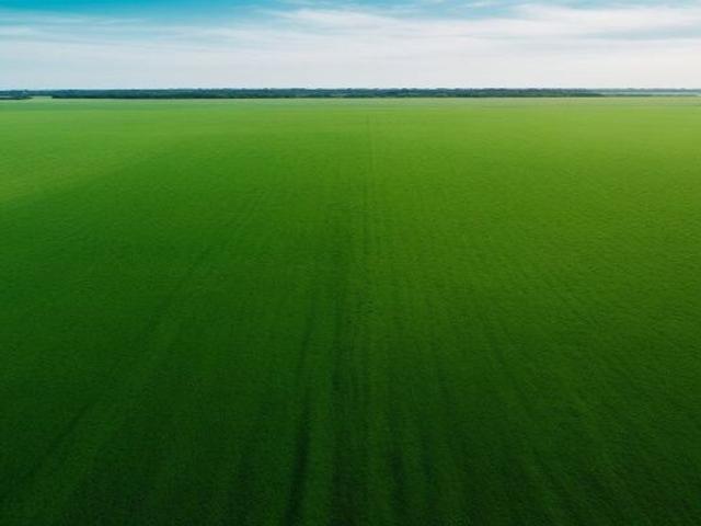 Land for sale in Mohari, Punjab