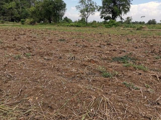 Land for sale in Mohari, Punjab