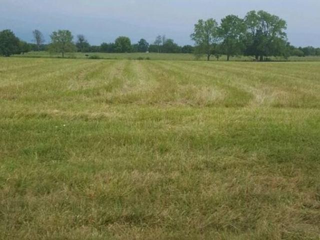 Land for sale in Mohari, Punjab