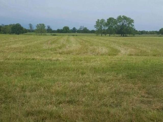Land for sale in Mohari, Punjab
