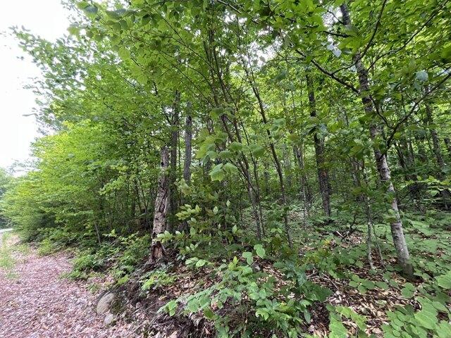 Land for sale in Newry, Maine