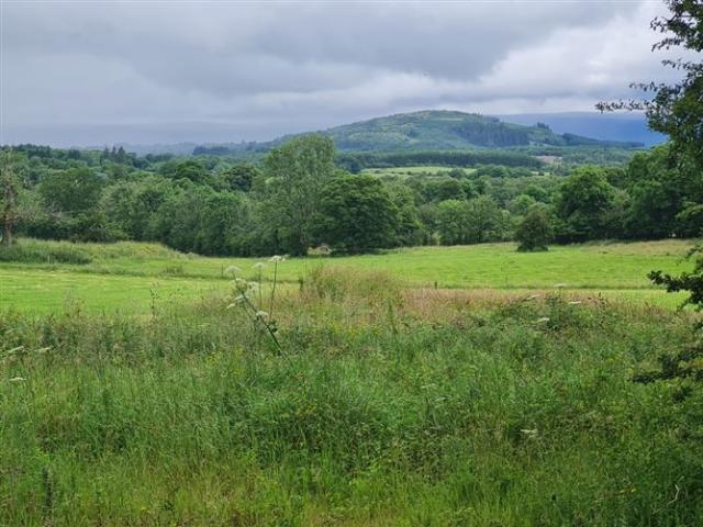 Property for sale in Ballymote, Connacht