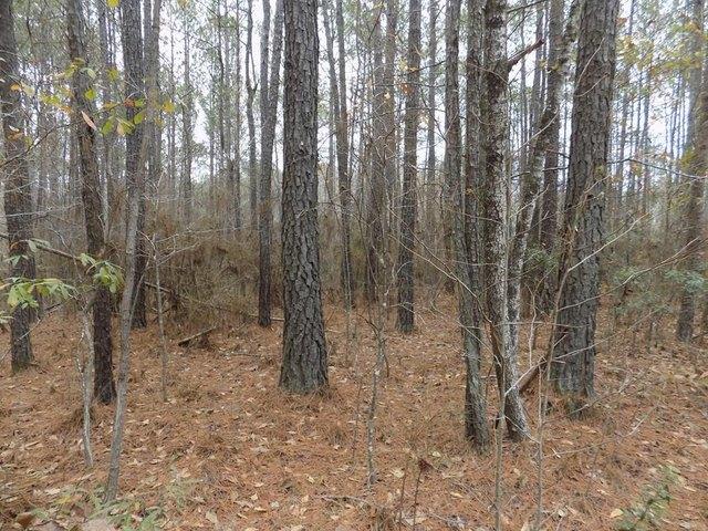 Land for sale in Hamilton, Georgia