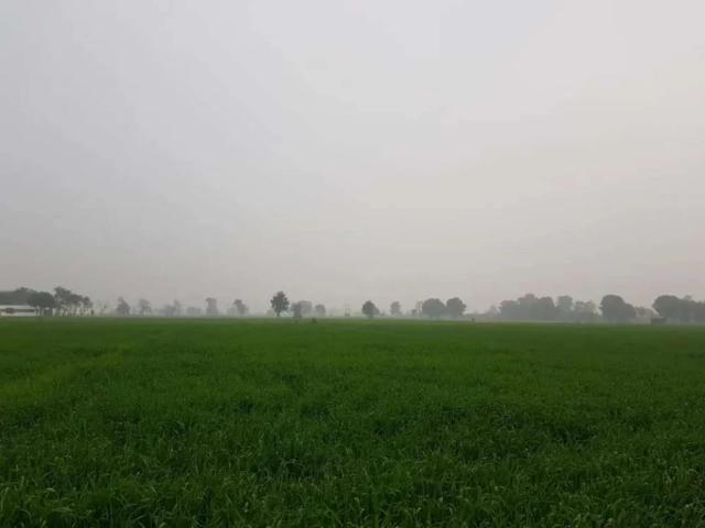 Land for sale in North Waziristan, Federally Administered Tribal Areas fata