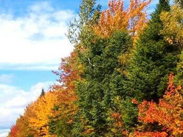 House for sale in Moncton, New Brunswick