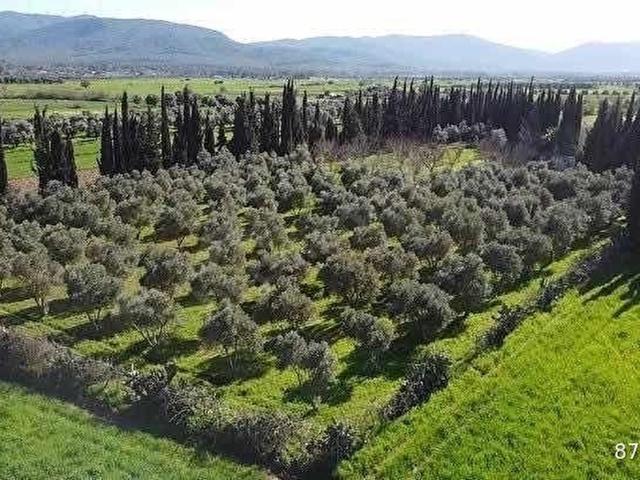 Bodrum, Muğla içerisinde satılık Arsa