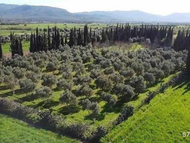 Bodrum içerisinde satılık Arsa