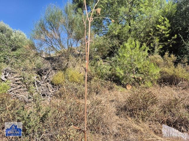Bodrum, Muğla içerisinde satılık Arsa