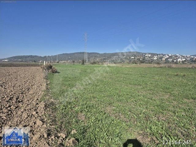 Bodrum, Muğla içerisinde satılık Arsa